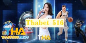 Giới thiệu về Thabet 516